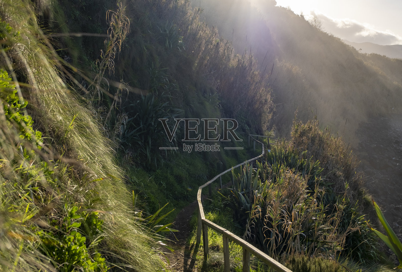 在圣米格尔岛北部沿海进行令人印象深刻的徒步旅行。照片摄影图片