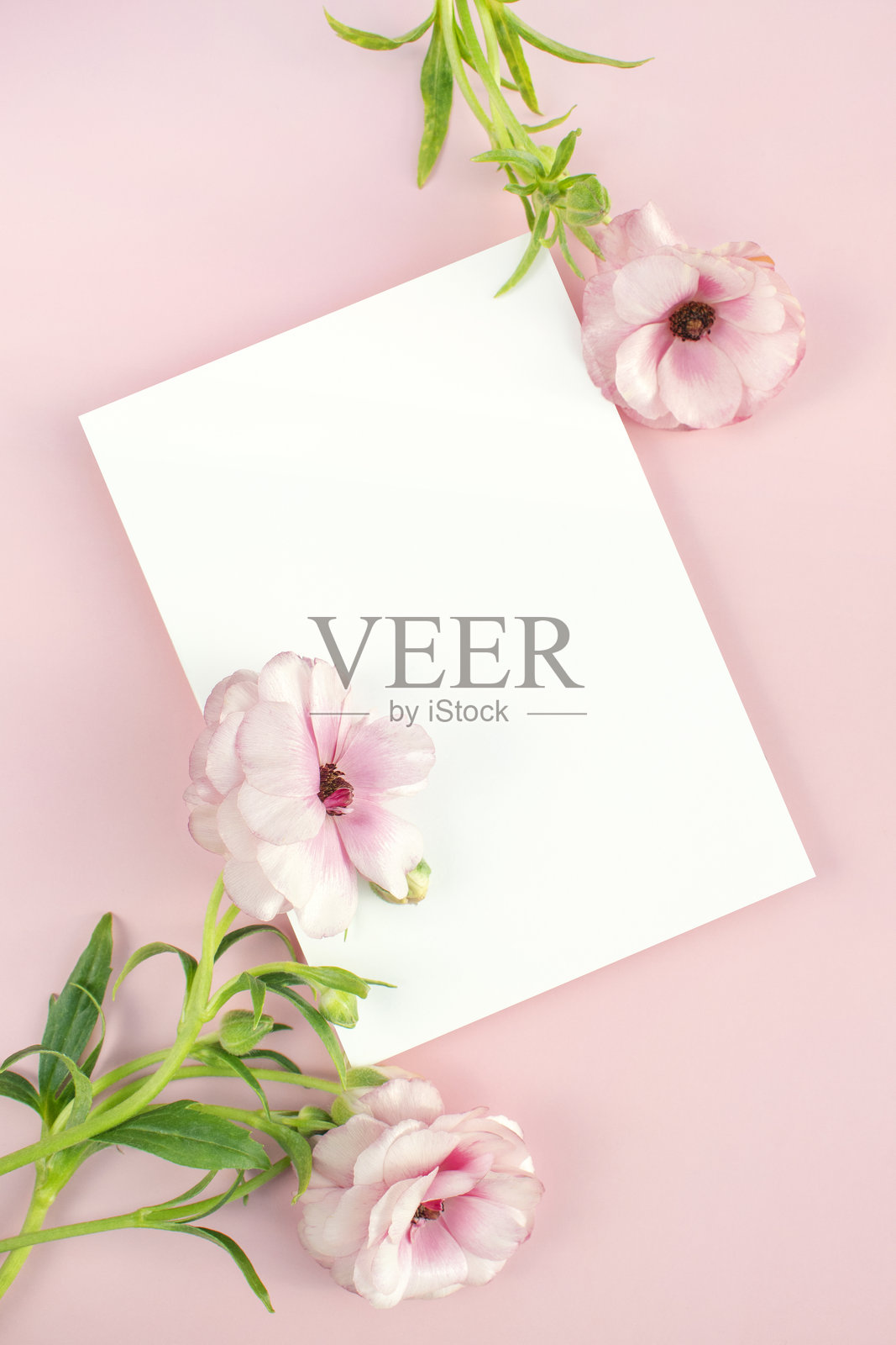 花和卡片模型照片摄影图片