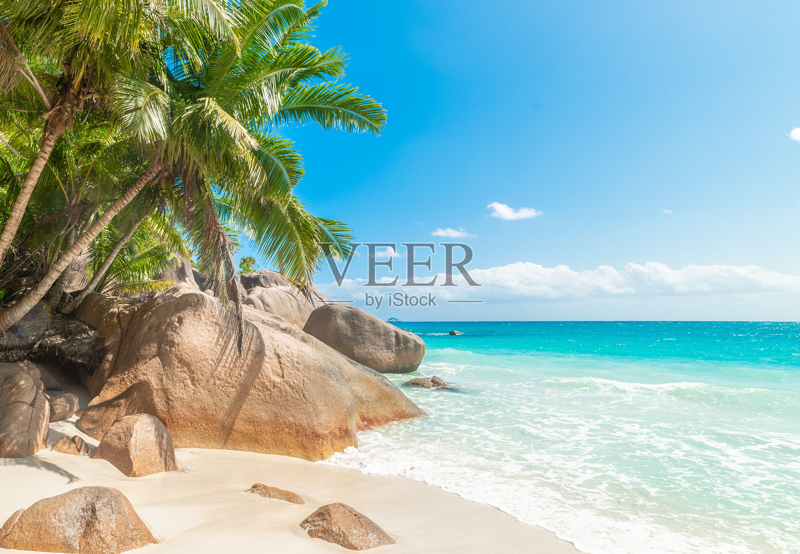 热带海滩海边的棕榈树和岩石照片摄影图片