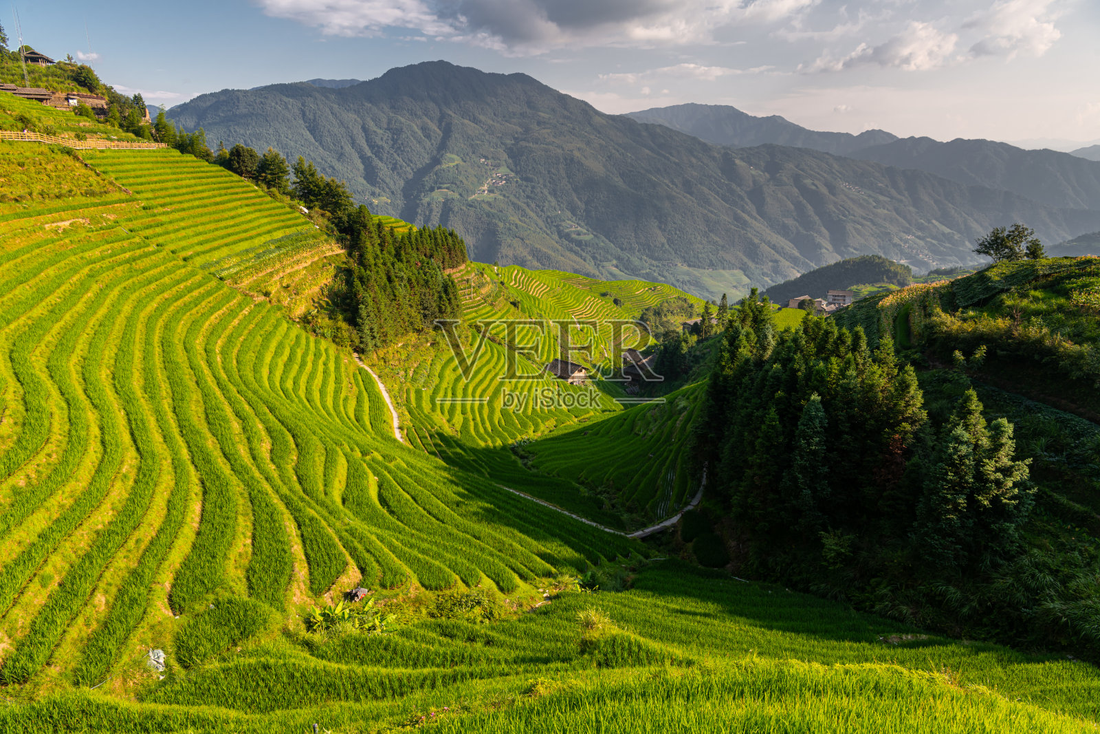 中国广西龙脊梯田的美丽风景照片摄影图片