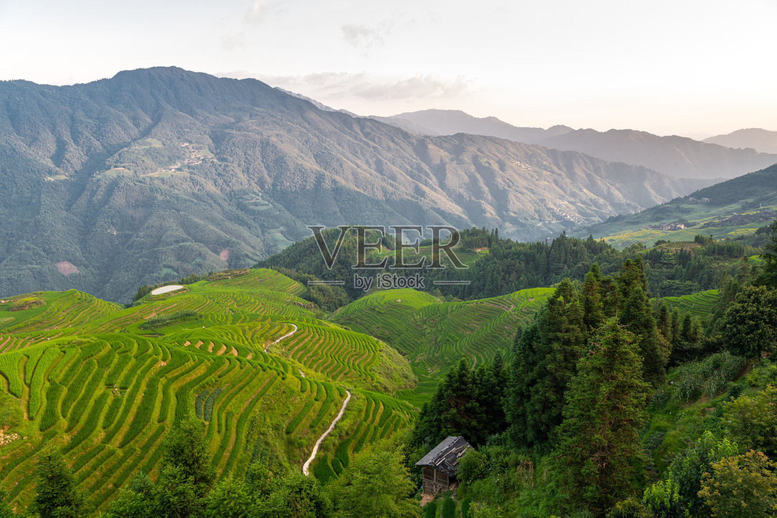 桂林，广西的龙脊梯田美丽风景和底部的村庄房屋照片摄影图片
