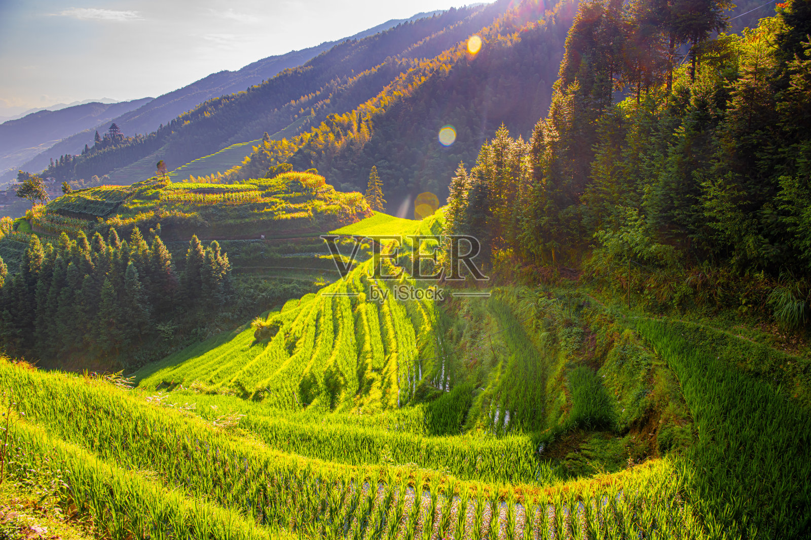 龙脊梯田，阳朔，中国照片摄影图片