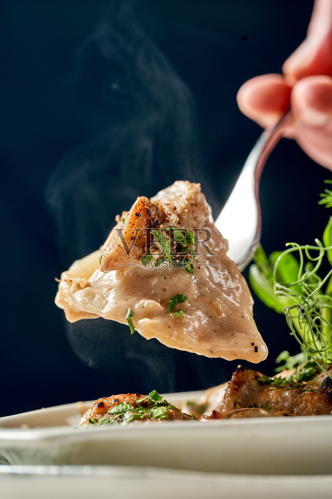 一盘烤制的饺子特写，展示了馅料的奶油质地和酥脆的顶部。菜肴配有浓郁的蘑菇酱和新鲜的香草。照片摄影图片