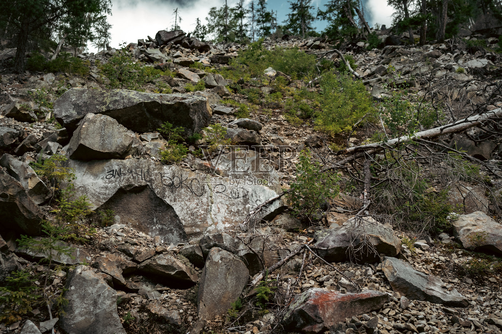 岩石山脉小径蜿蜒穿过森林照片摄影图片