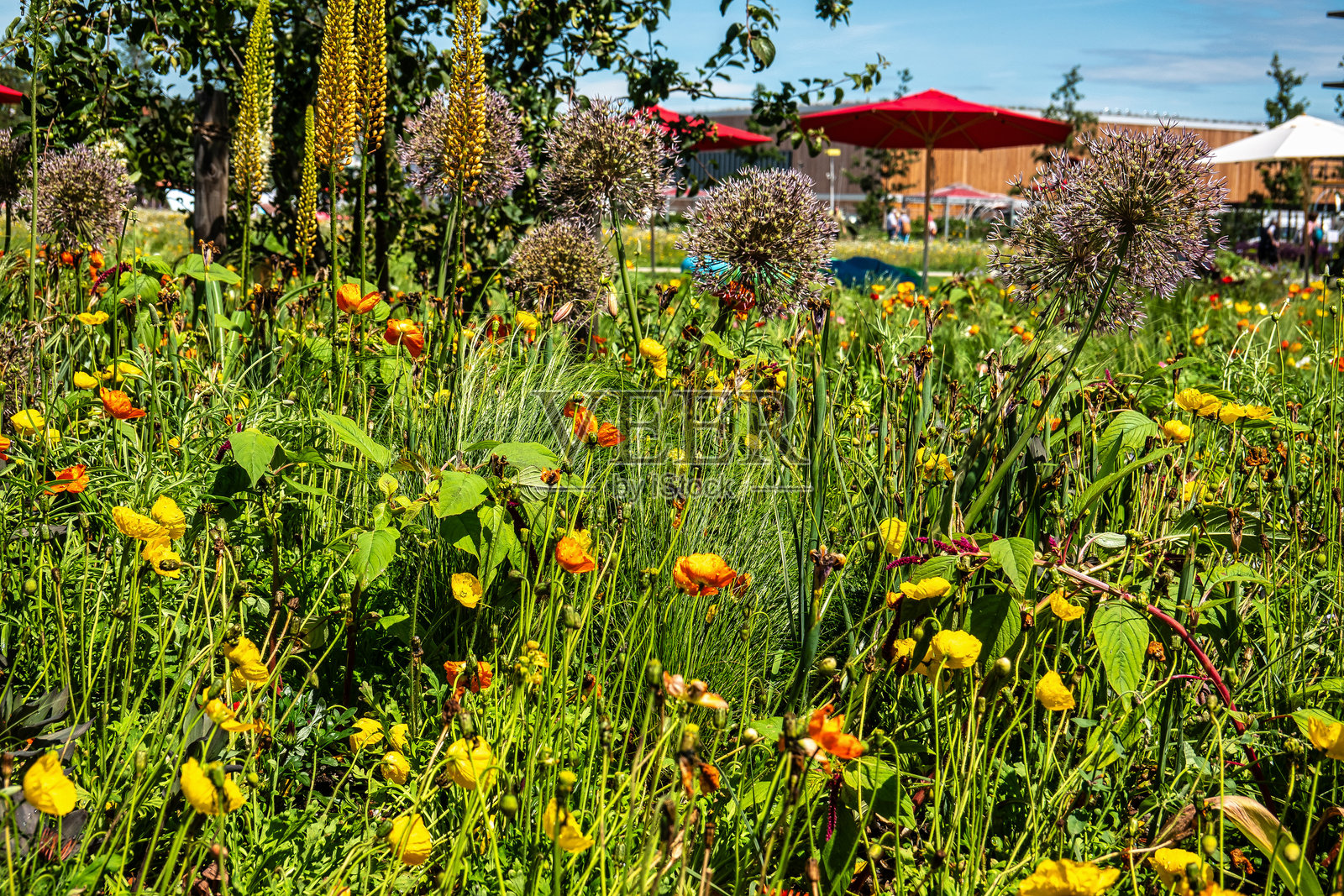 2024年德国巴伐利亚基兴海姆州花园展的印象照片摄影图片