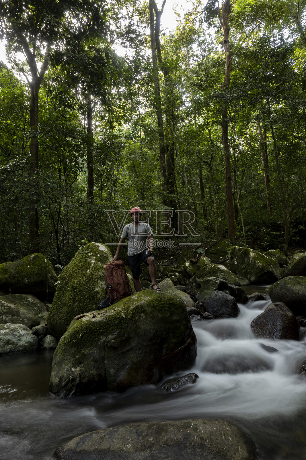 男人们欣赏雨林的美景 - 股票照片照片摄影图片
