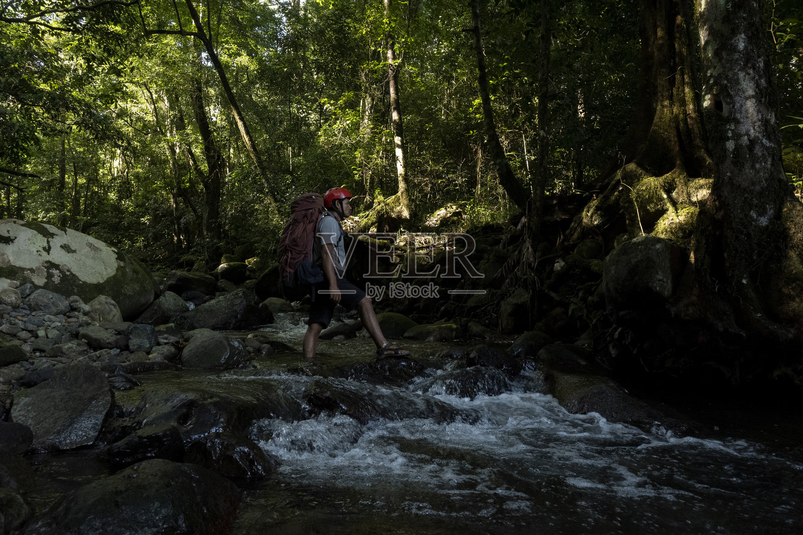 在雨林中穿越清澈的河流-库存照片照片摄影图片