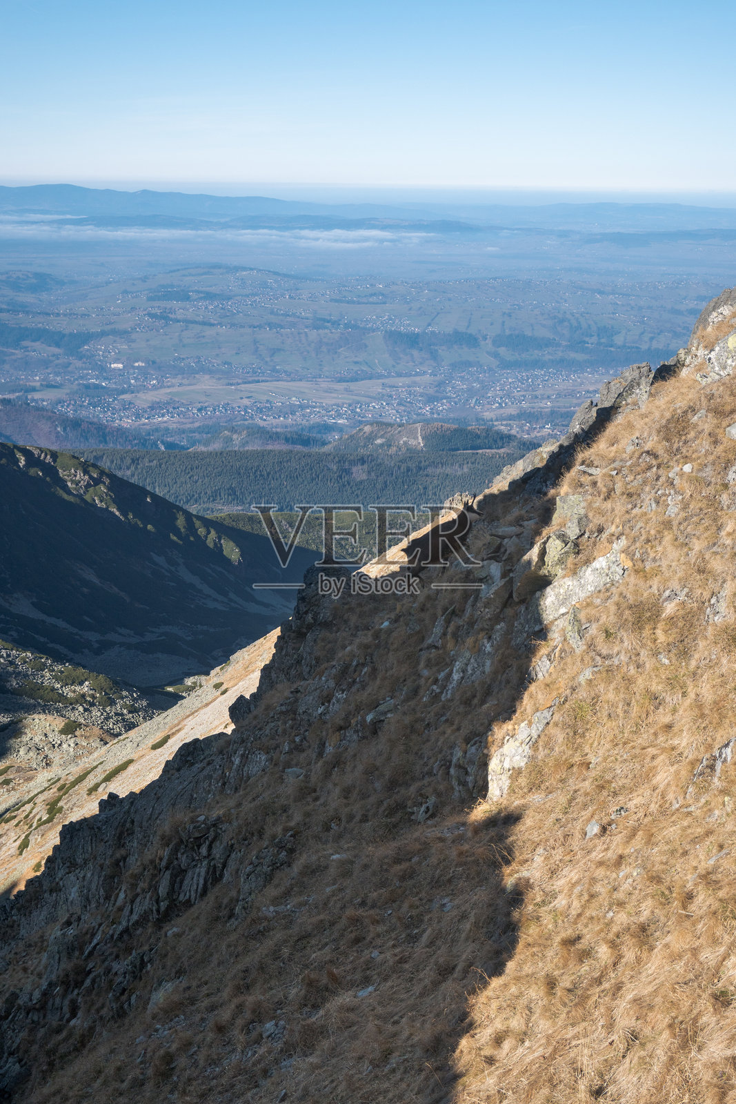 高山旅游小径上的羚羊。高塔特拉山脉。照片摄影图片