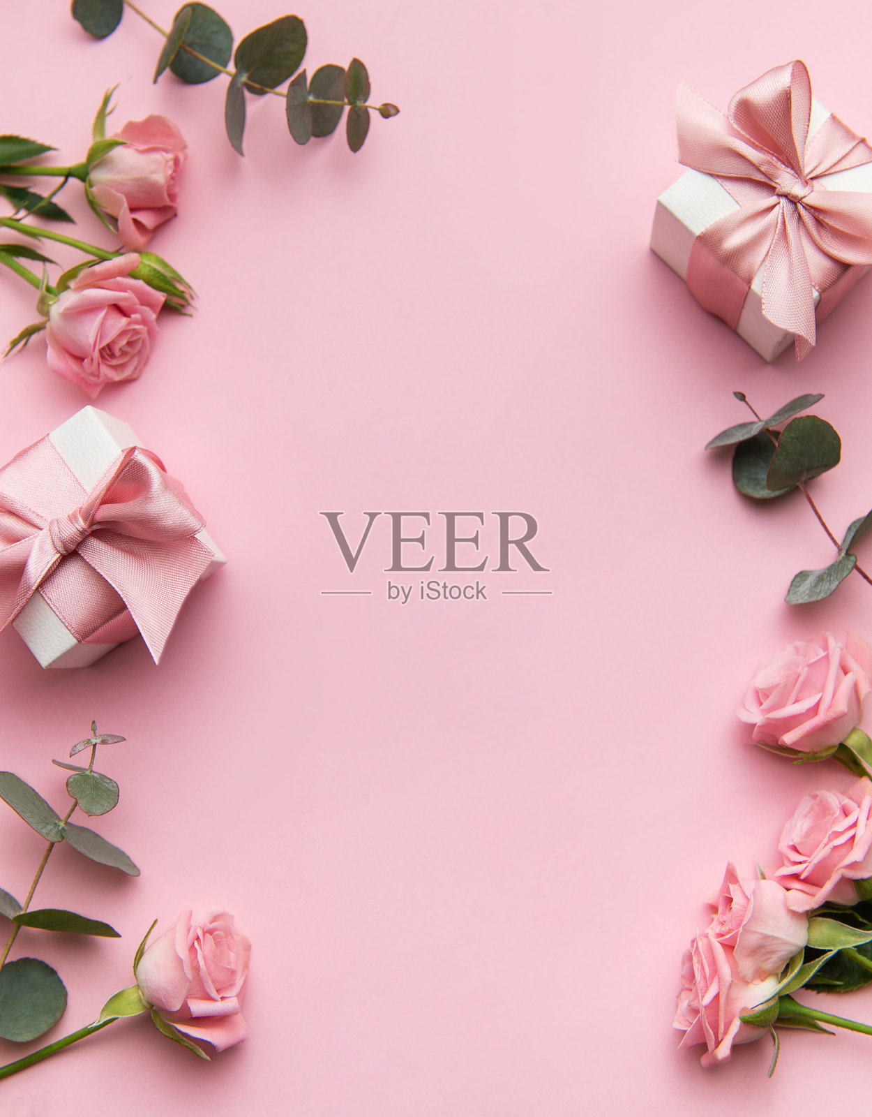 浪漫的粉色玫瑰和桉树叶在柔和的背景上照片摄影图片