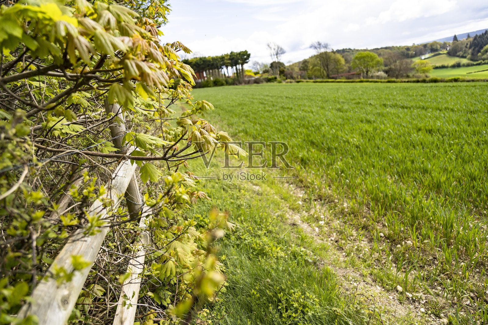 英格兰耕地的边缘照片摄影图片