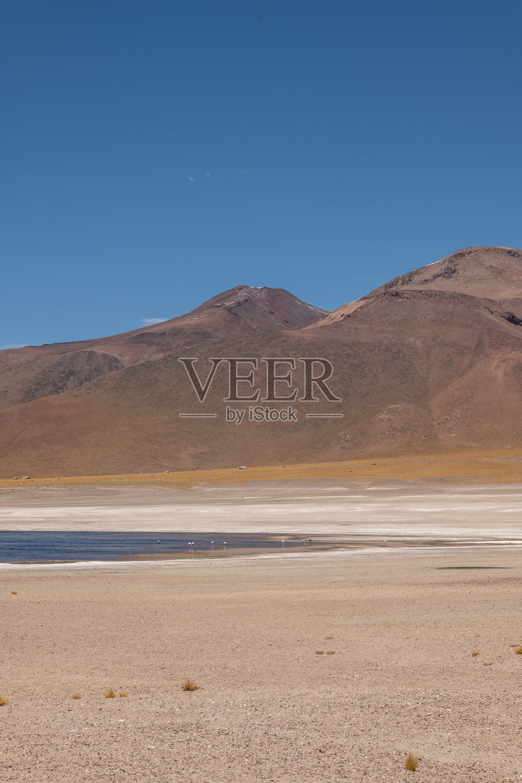 干旱的山地风景与远处的火烈鸟照片摄影图片