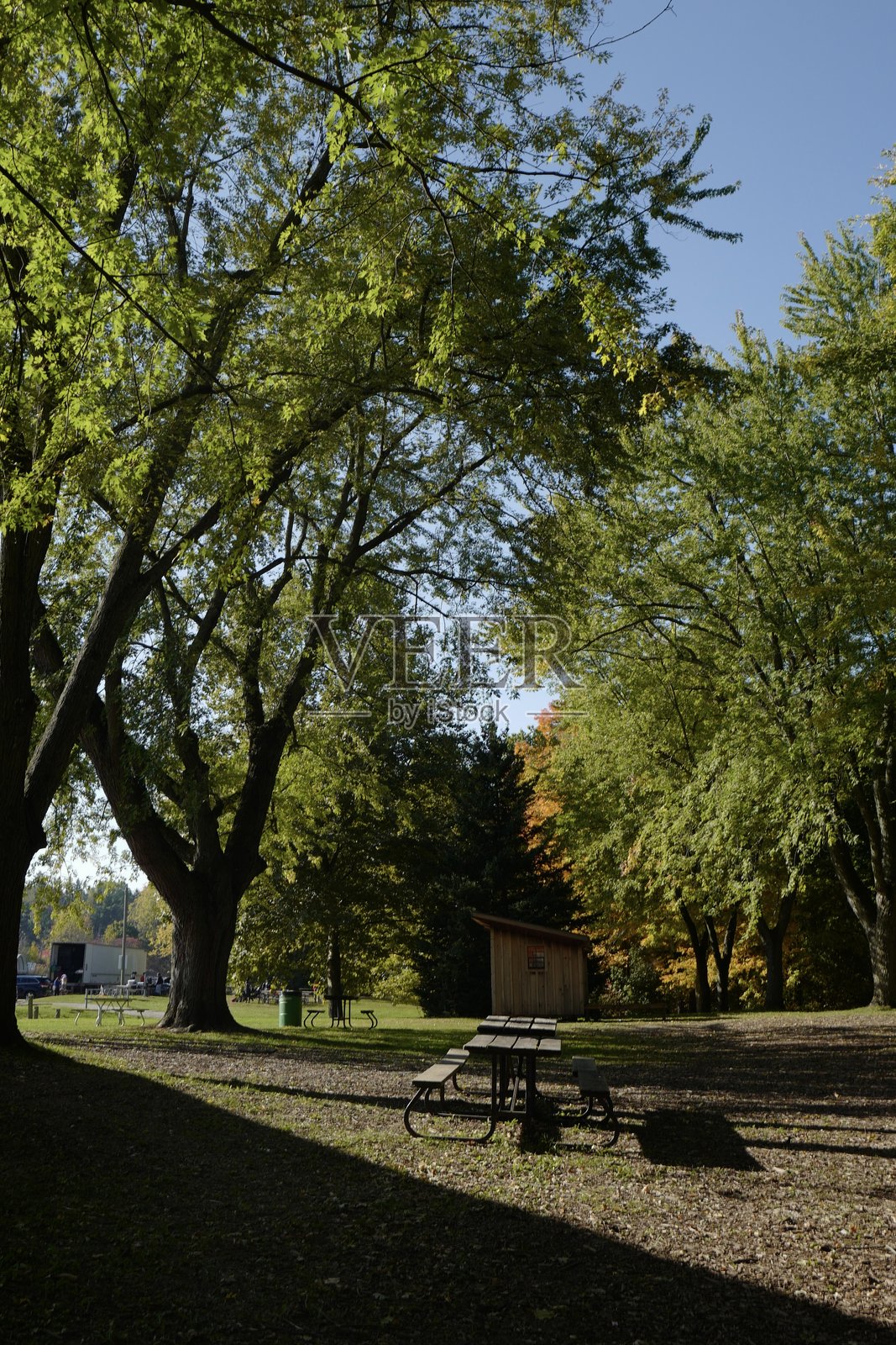 秋季野餐场景，树木、阳光和阴影照片摄影图片