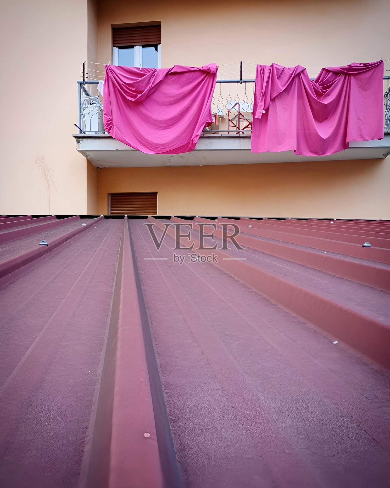 小粉红照片摄影图片