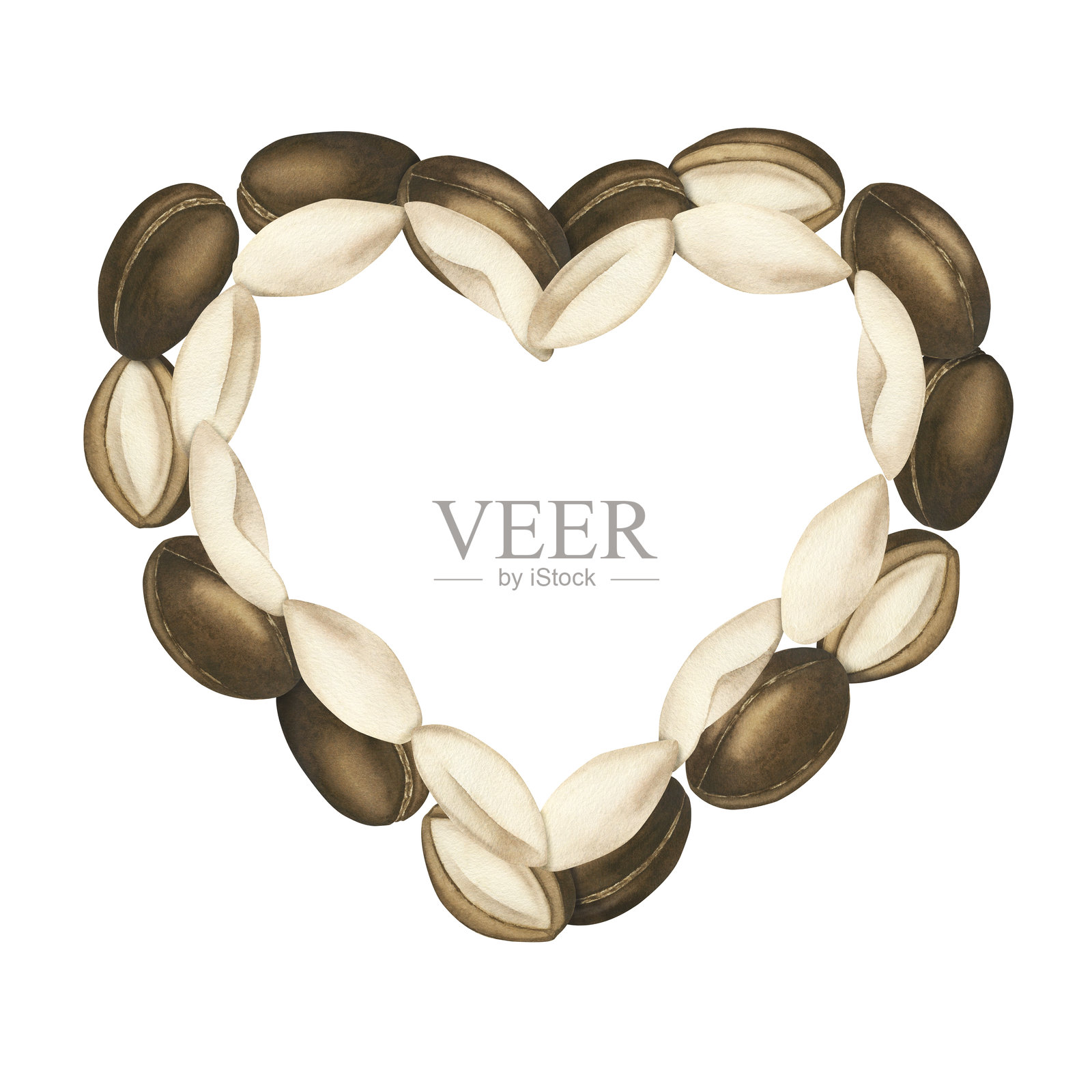 由成熟的摩洛哥坚果制成的心形作品。水彩插图，白色背景上的剪贴画。摩洛哥坚果油，身体和头发护理，美容，食品，维生素。明信片模板插画图片素材