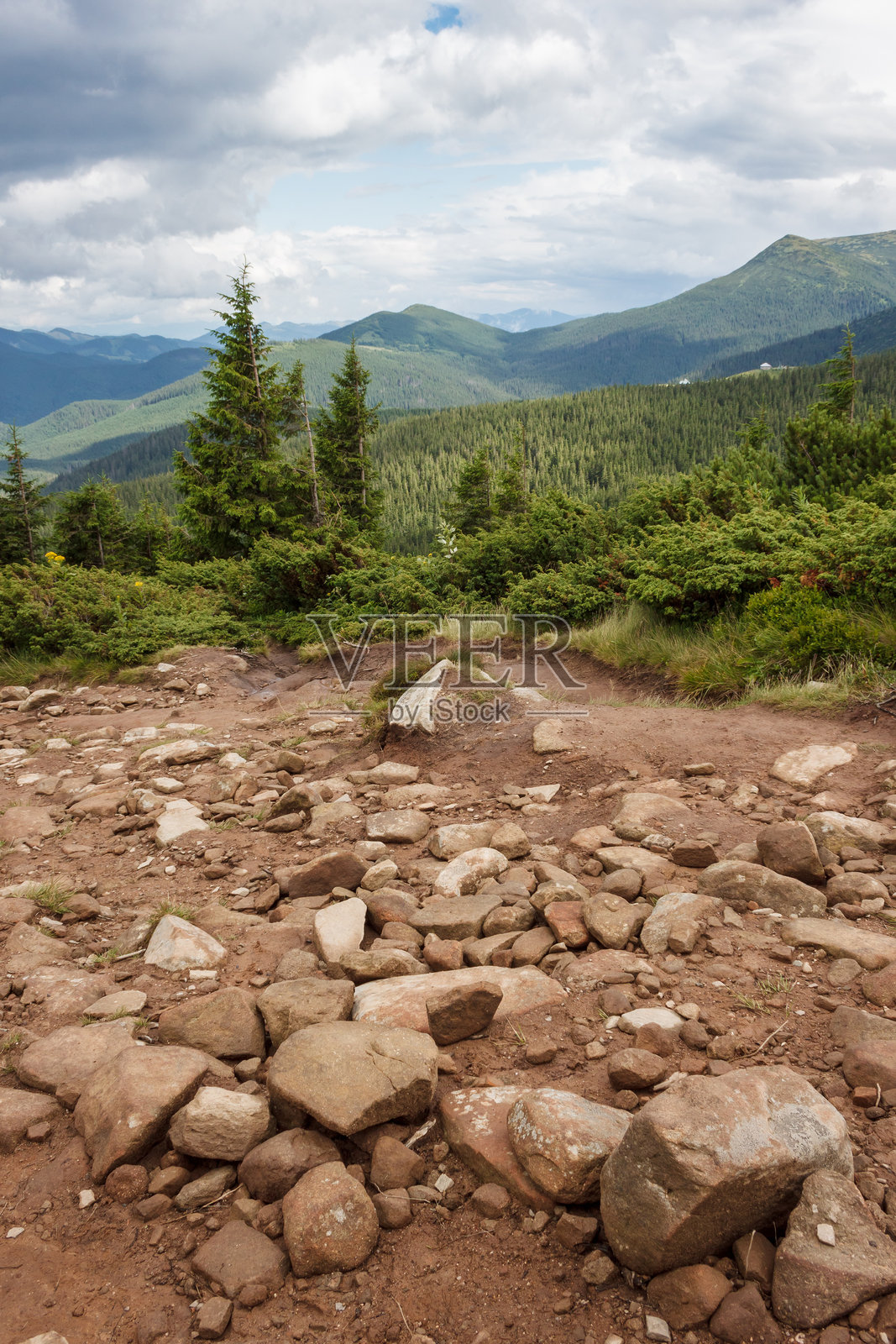 雨后的山间小径和森林照片摄影图片