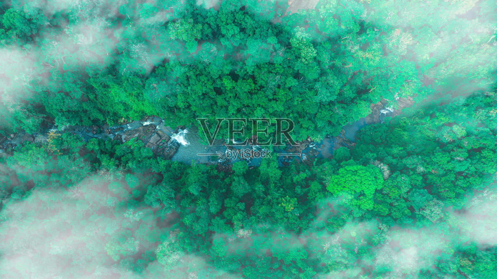 云雾山脉和混交林鸟瞰图。落叶树、绿色植物和流经森林的瀑布。雨林丰富的自然生态系统的概念围绕着保护和自然再造林。照片摄影图片