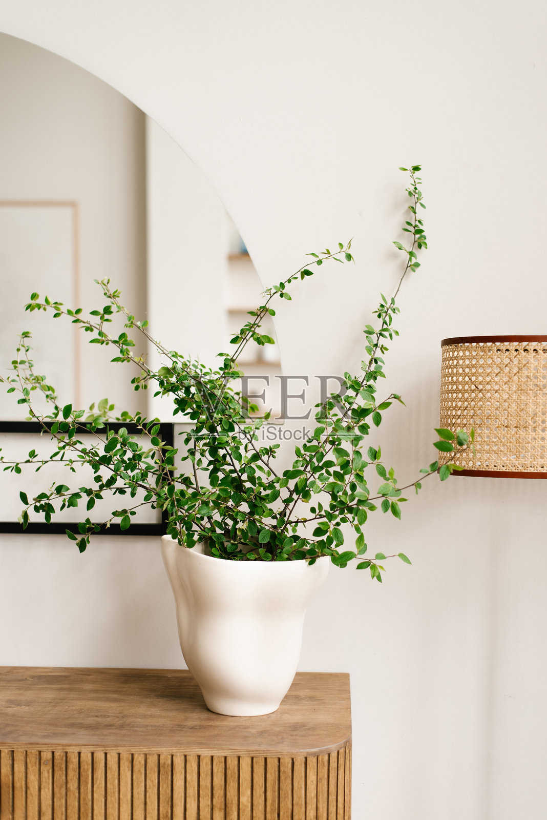 绿色盆栽在木制梳妆台和镜子的浅色墙在斯堪的纳维亚客厅风格照片摄影图片