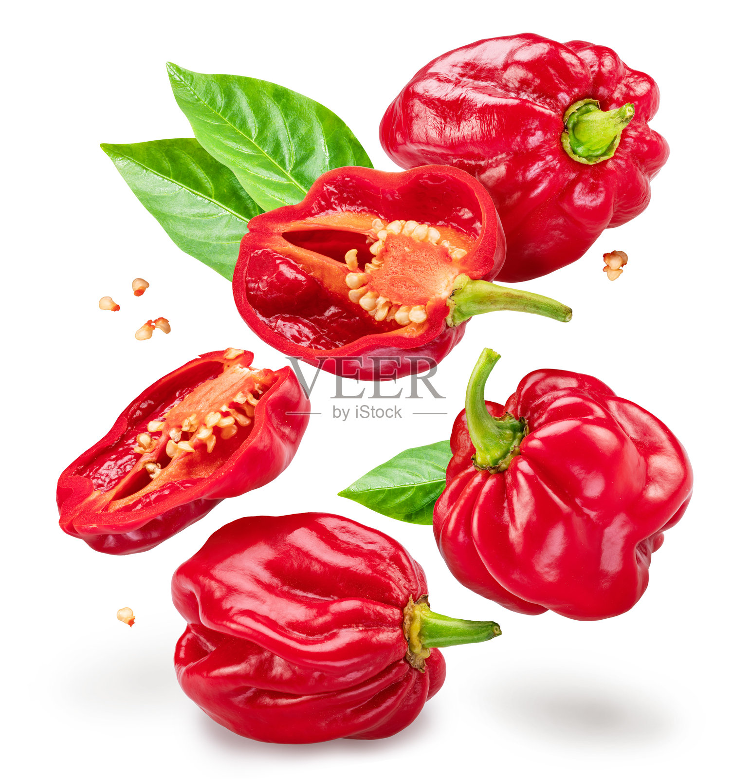 红色的哈瓦那，辣椒的叶子和种子落在白色的背景上。文件包含剪辑路径。照片摄影图片