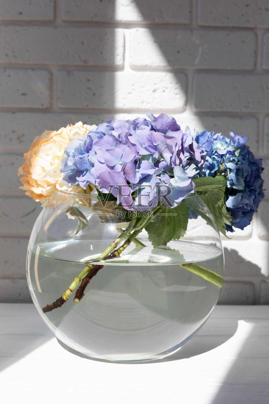 白色木桌上，一个圆形玻璃花瓶里插着紫色、蓝色和黄色的绣球花。前视图照片摄影图片