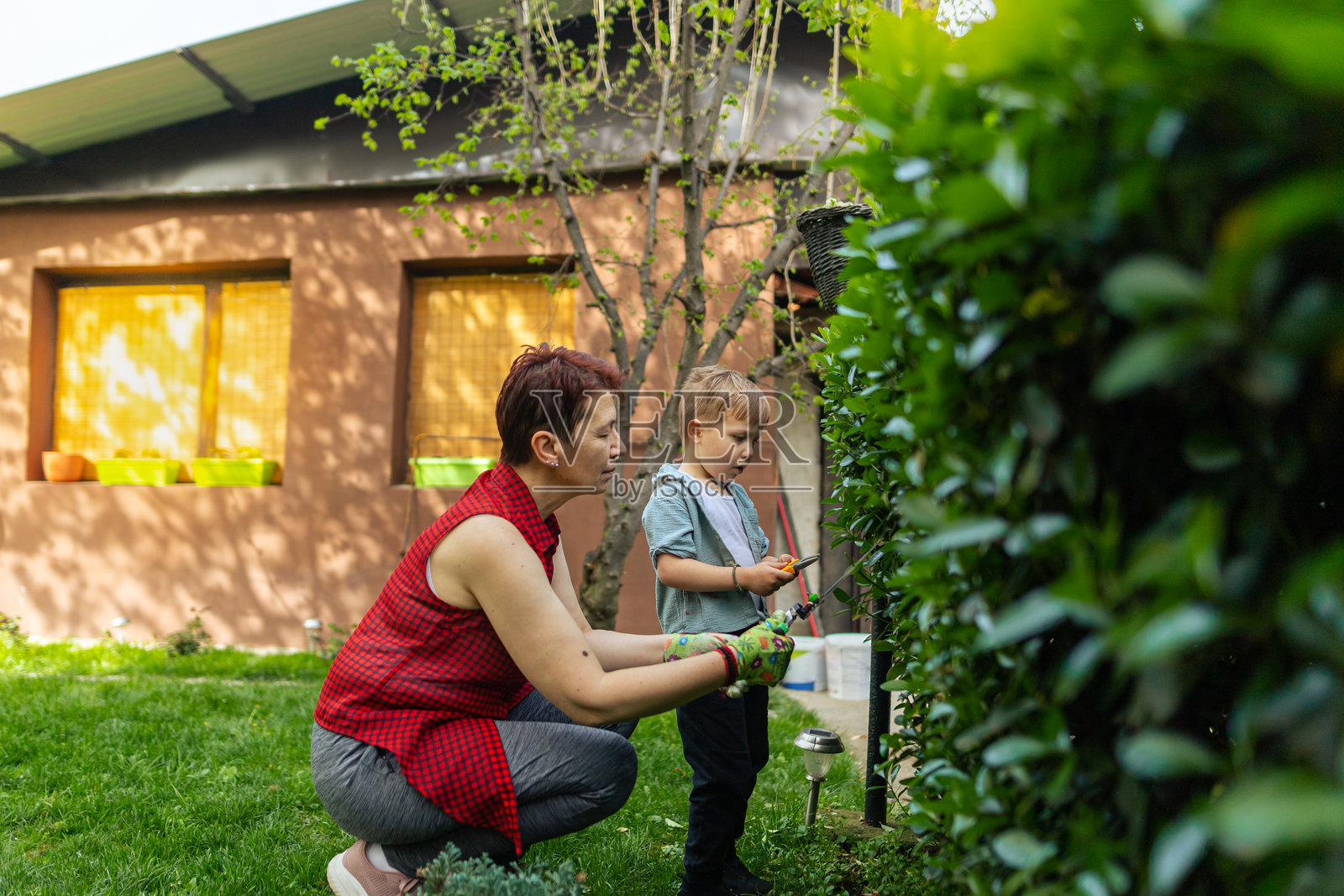 快乐的奶奶，在后院度过美丽的春日。一个多种族的中年妇女和她的孙子在后院修剪树篱，共度美好的春日。焊接时间。库存图片照片摄影图片