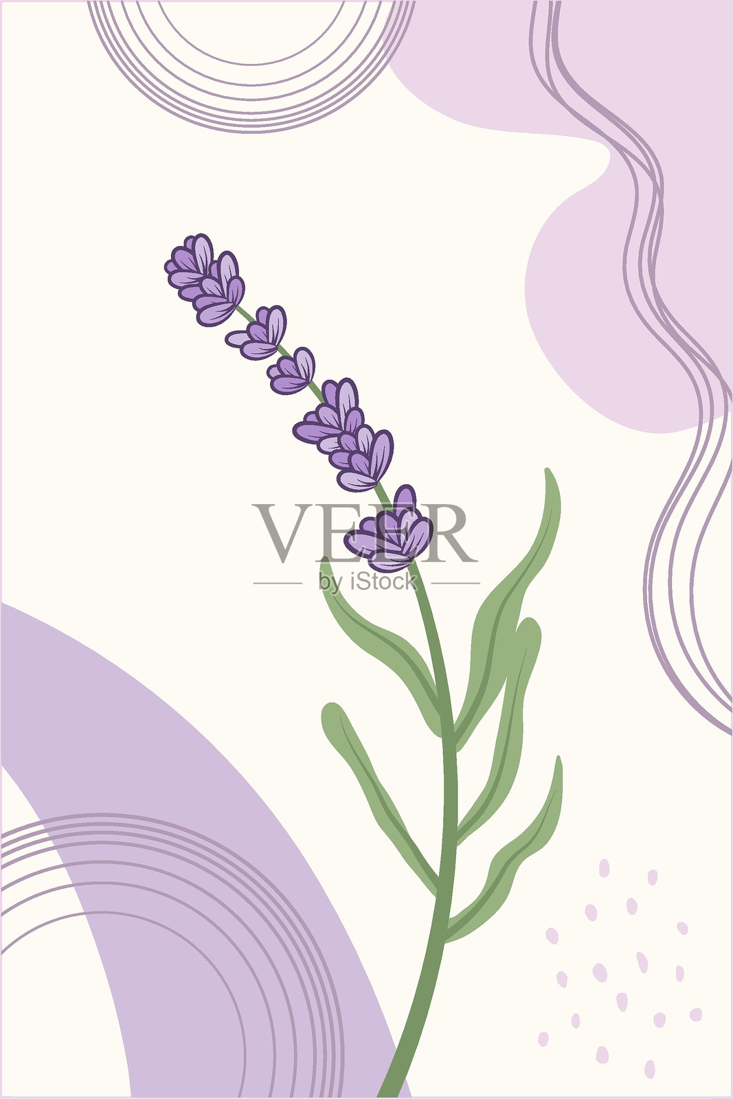 时髦的植物墙艺术与薰衣草的小枝和斑点。模板概念的贺卡，横幅，社交媒体设计，邀请，封面，墙壁艺术。插画图片素材