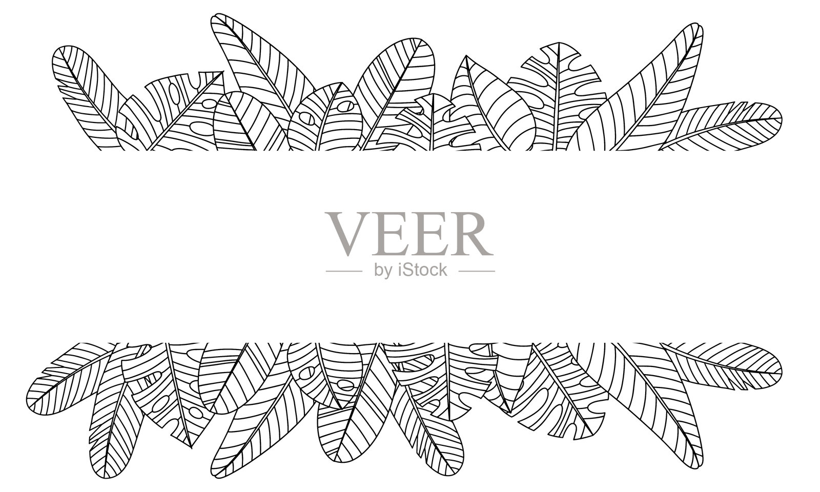 热带植物手绘的枝叶。黑白无缝线条横纹。单色涂鸦花卉图案。向量草图。插画图片素材