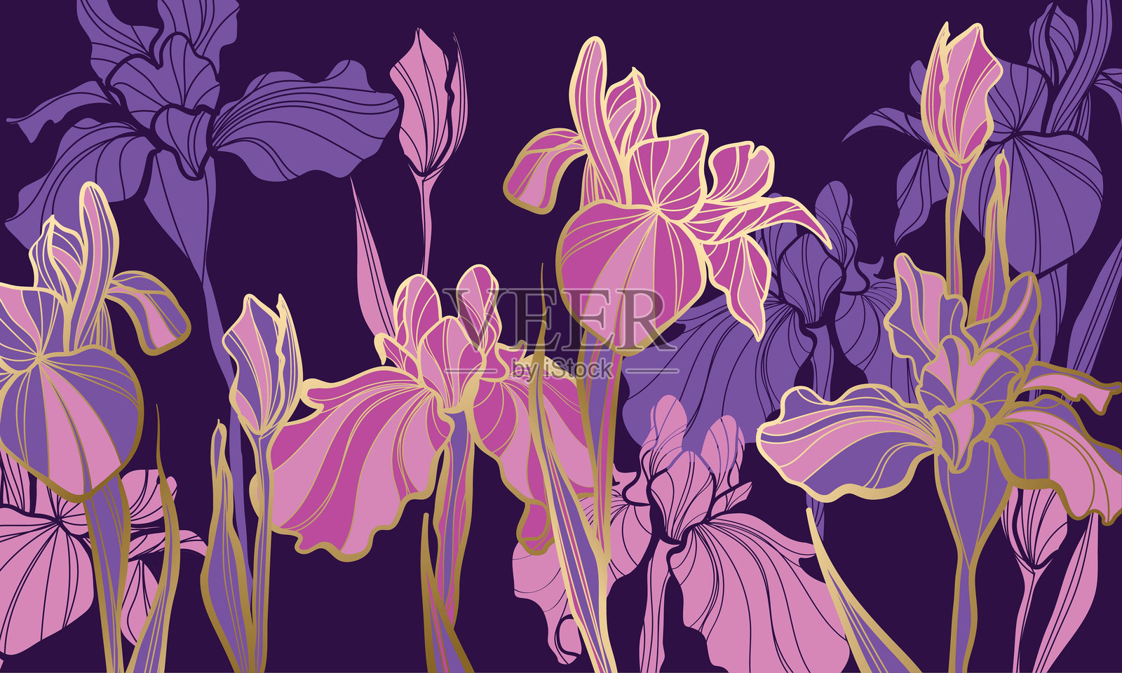 金色美丽的鸢尾花线艺术插画图片素材