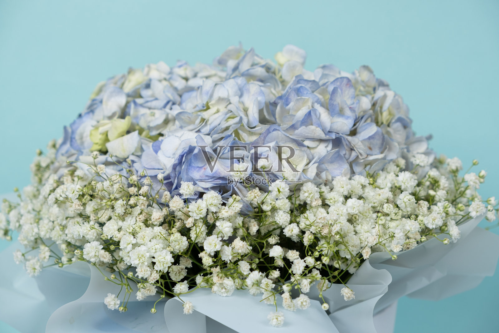 一束由绣球花和吉思莲制成的花。照片摄影图片