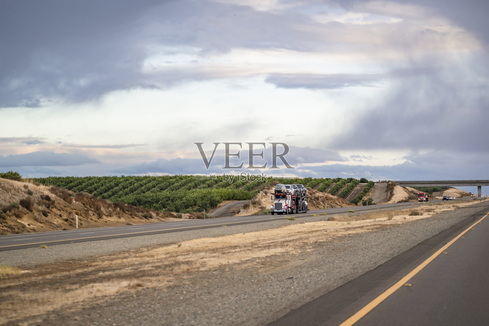 强大的白色汽车拖车大钻机半挂车运输汽车和跨界车在半挂车运行在分割高速公路沿果园在加州照片摄影图片