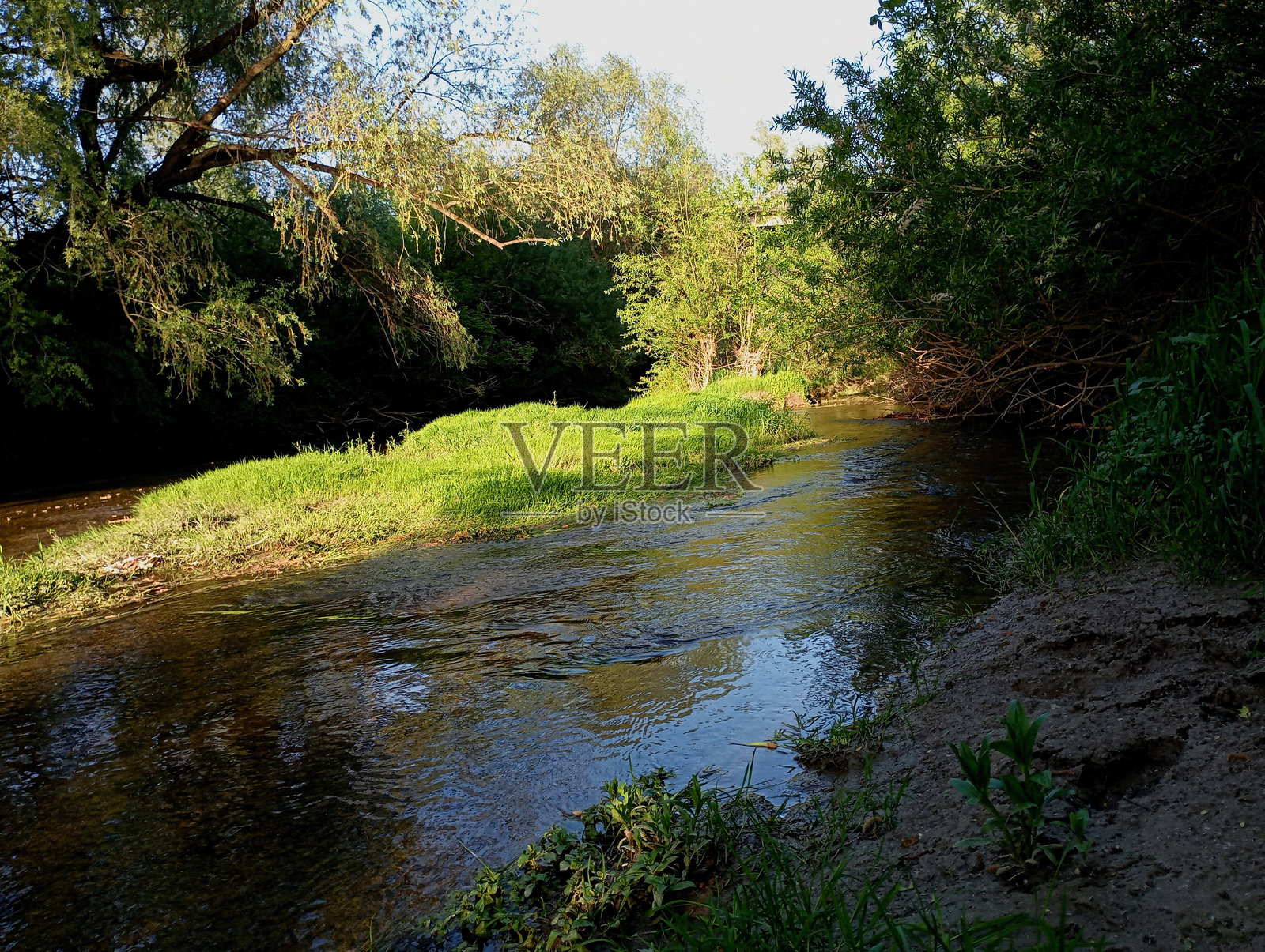 一条小而浅的河，中间有一个长满绿草的小岛。河上美丽的景色，树木和灌木丛生。照片摄影图片