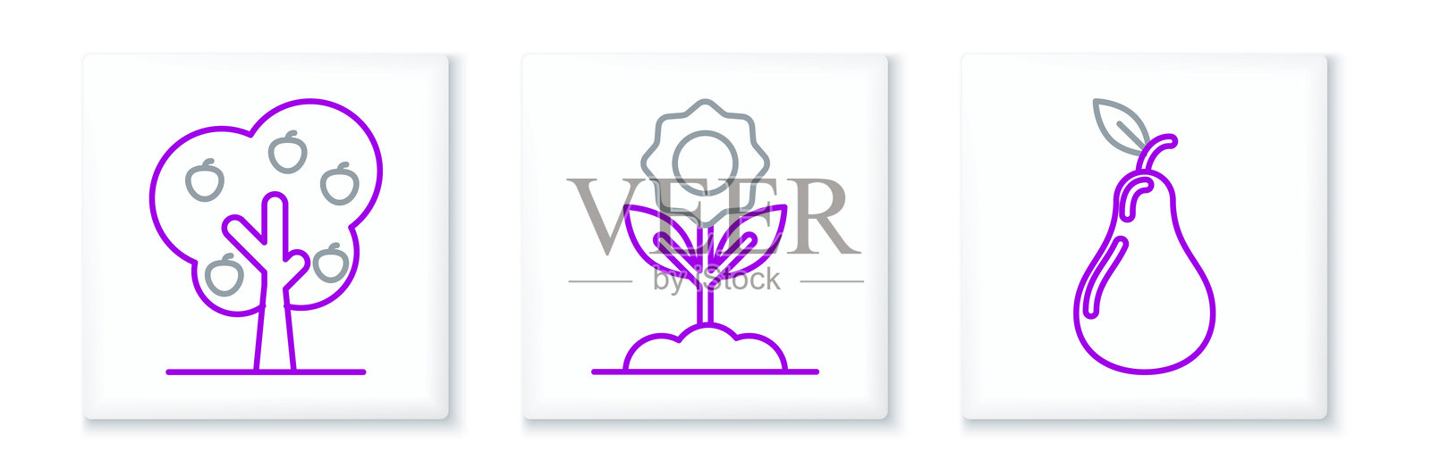 设置线梨，树与苹果和花的图标。向量插画图片素材