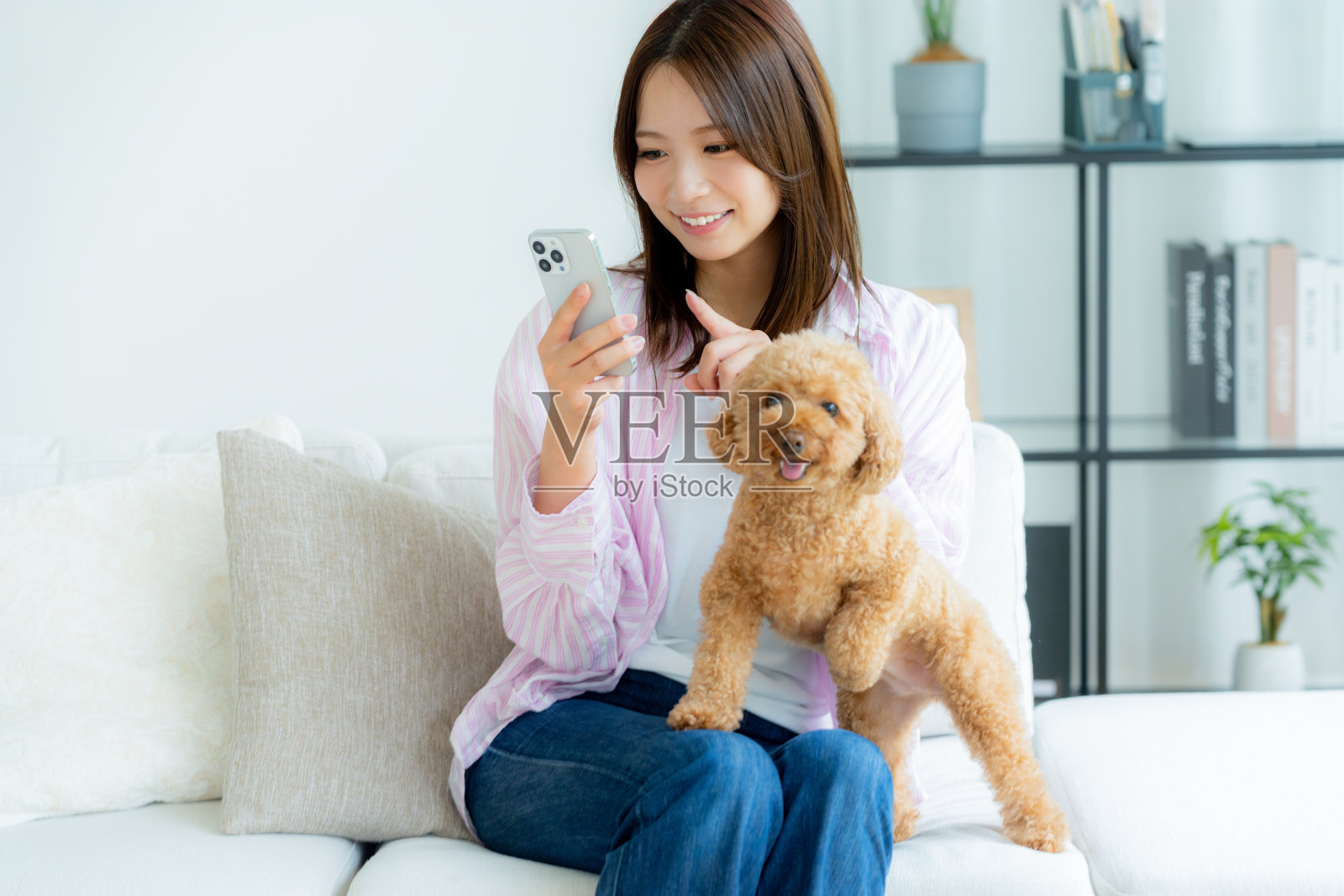 年轻女性在房间里与宠物放松。照片摄影图片