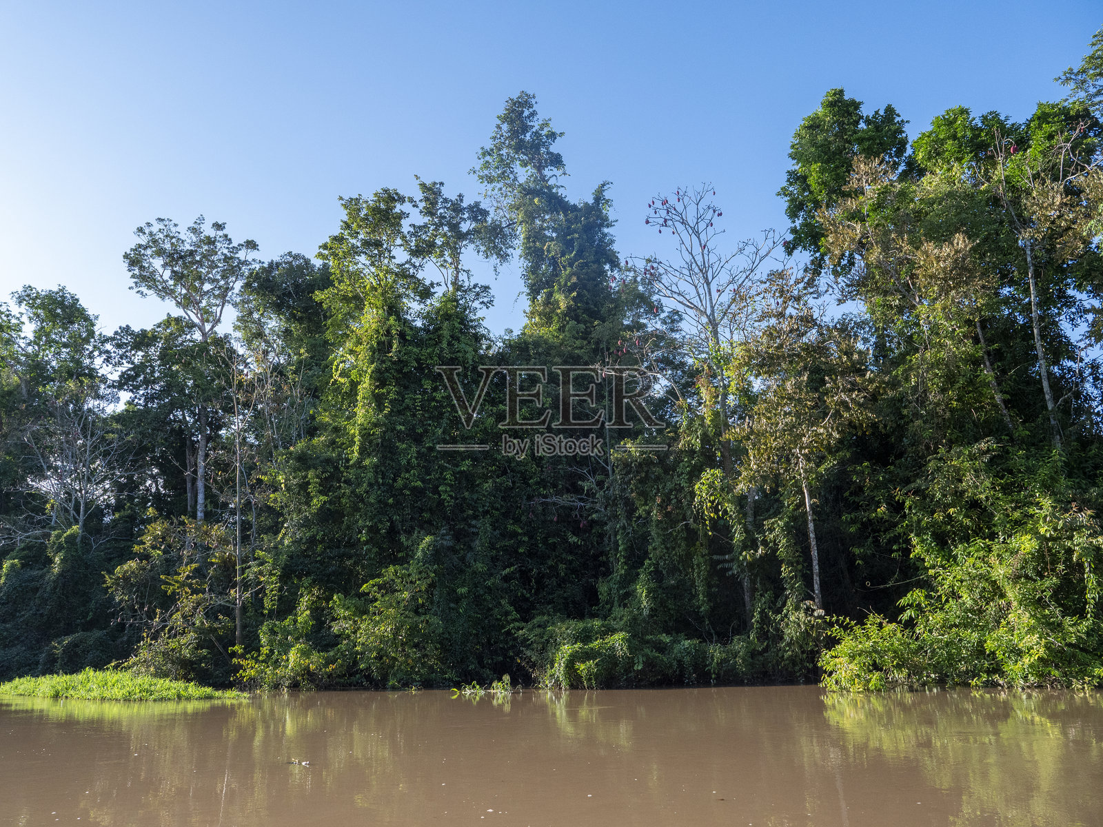亚马逊河支流的风景照片摄影图片