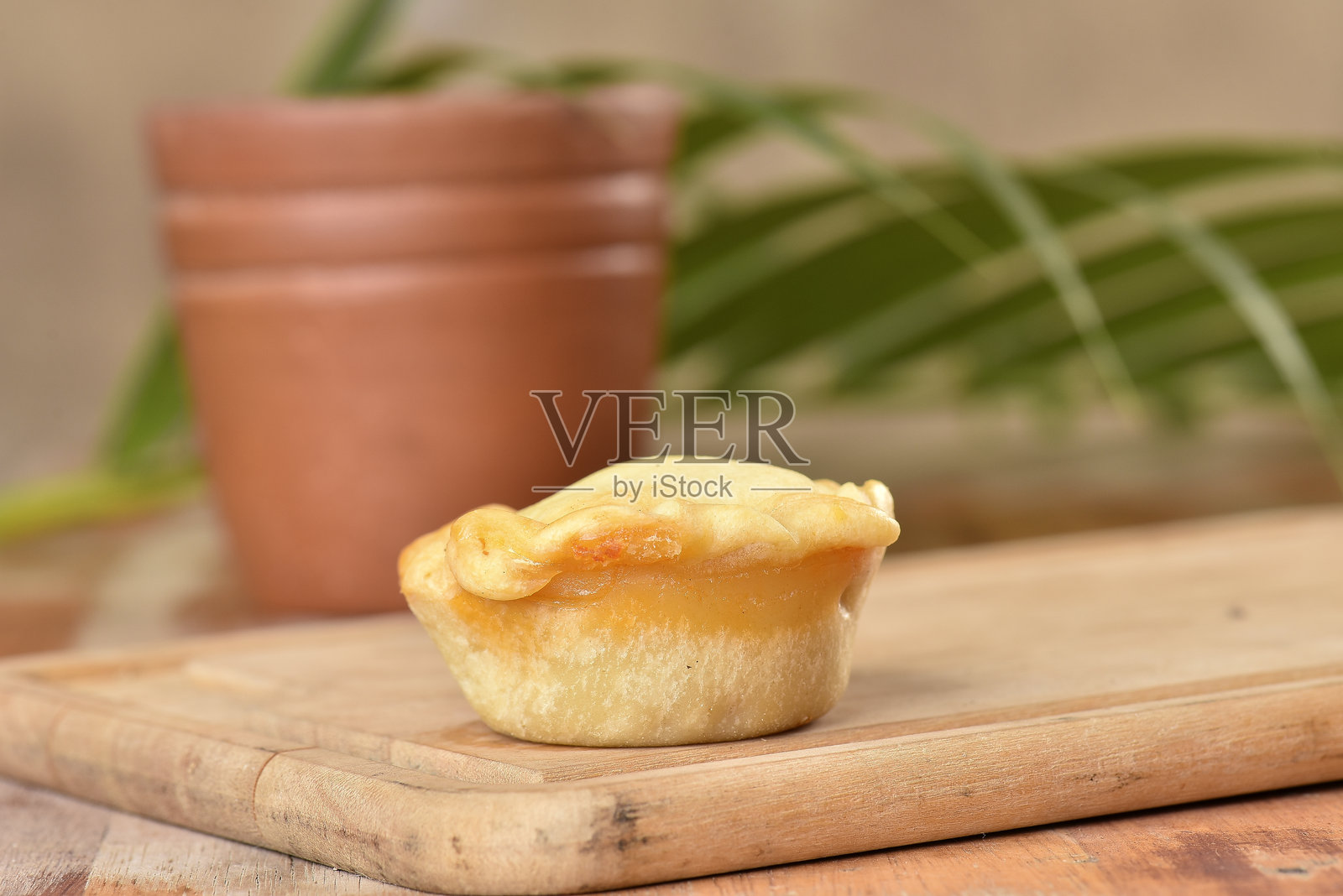 巴西戈亚斯的小派，烤鸡派，典型的巴西美食照片摄影图片