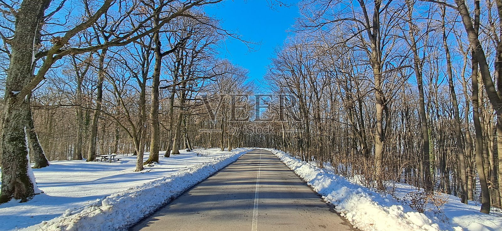 通往远方的雪-covered森林小路照片摄影图片