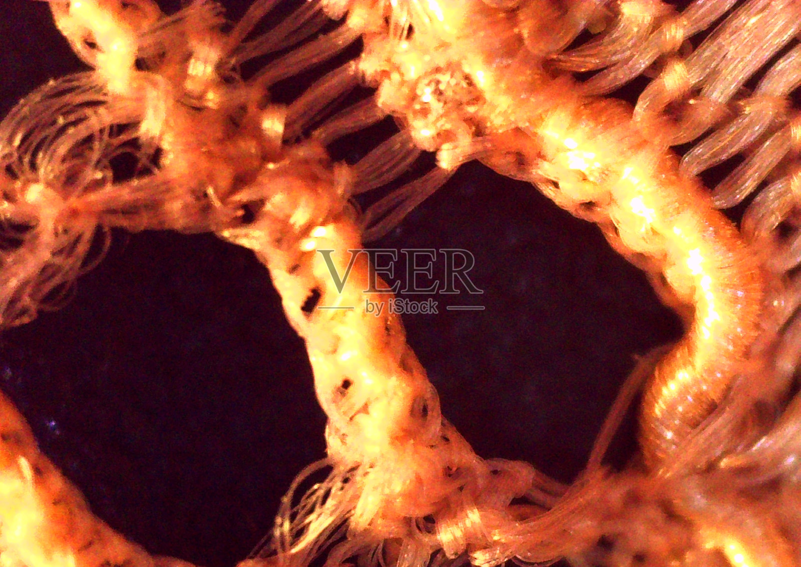 精美明亮的华丽网状织物。织物的细节片段。显微镜下的图像，微观摄影。科学、研究和教育。多重放大，特写。科学摄影照片摄影图片