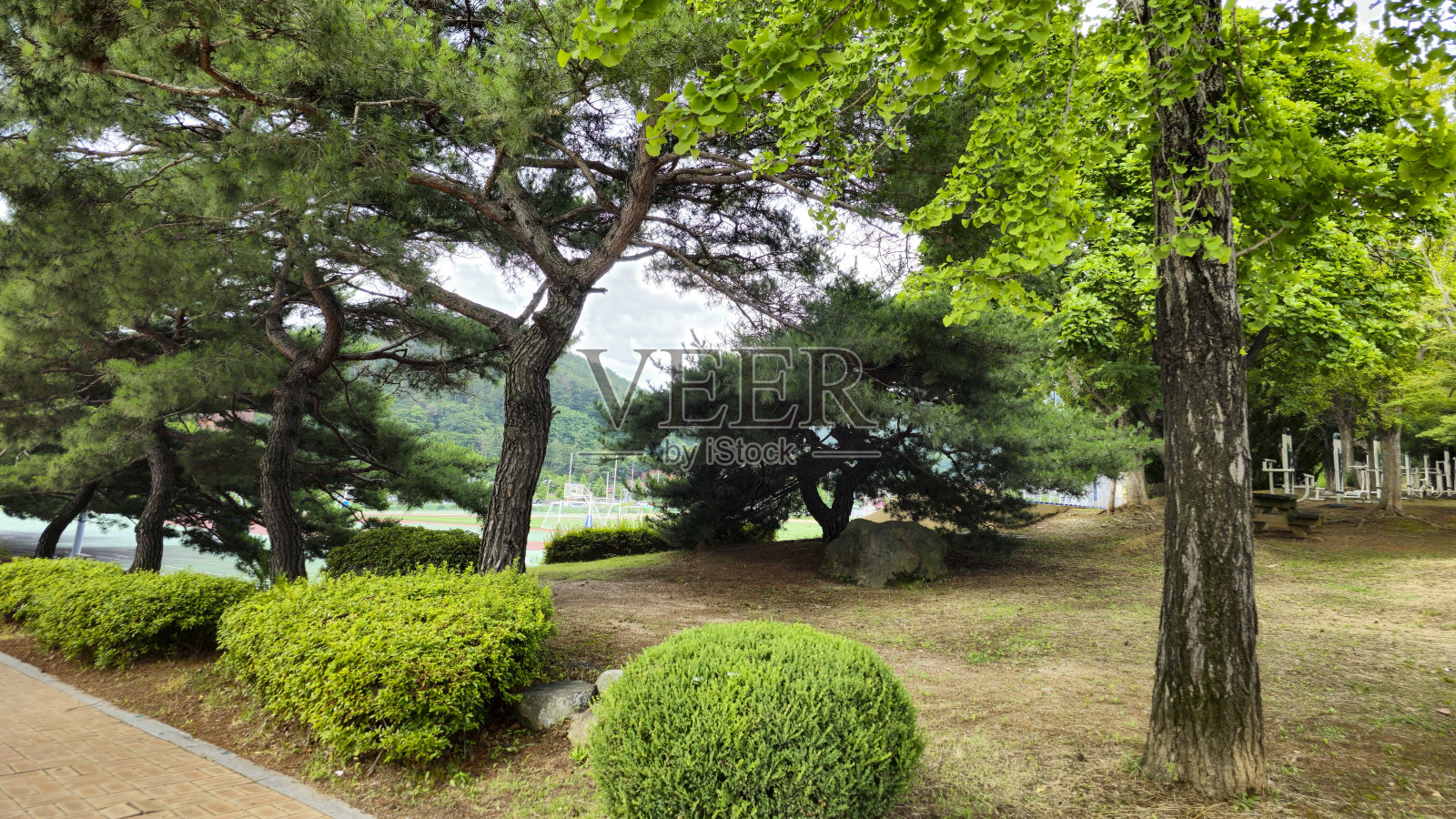 充满活力和多样化的韩国街道，我们将带您在这个美丽国家的繁华城市和迷人城镇中进行虚拟旅行照片摄影图片