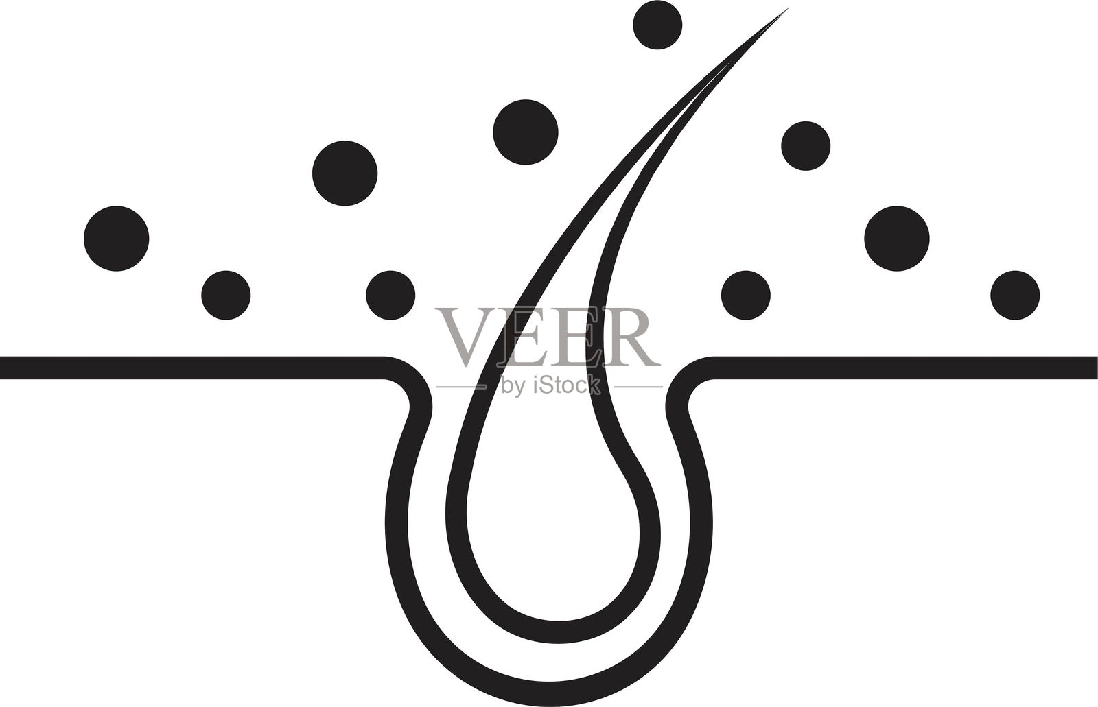 头发护理线性图标。毛囊治疗，毛发学的图形轮廓。闪亮健康的头发标志。健康皮肤病学的表皮轮廓矢量插图，透明背景。插画图片素材