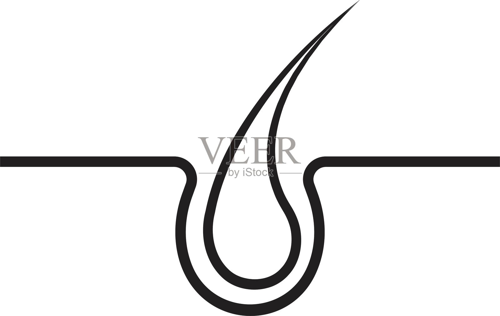 头发护理线性图标。毛囊治疗，毛发学的图形轮廓。闪亮健康的头发标志。健康皮肤病学的表皮轮廓矢量插图，透明背景。插画图片素材