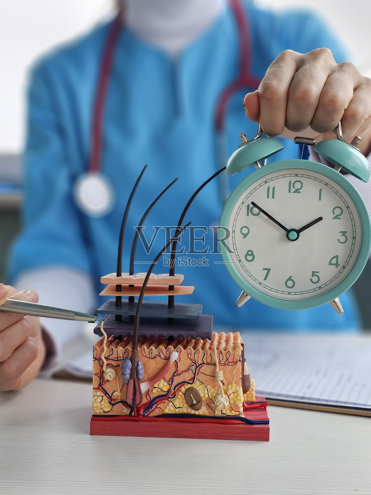 皮肤科医生在诊所里手持皮肤模型和闹钟。是进行皮肤护理和治疗的时间。照片摄影图片