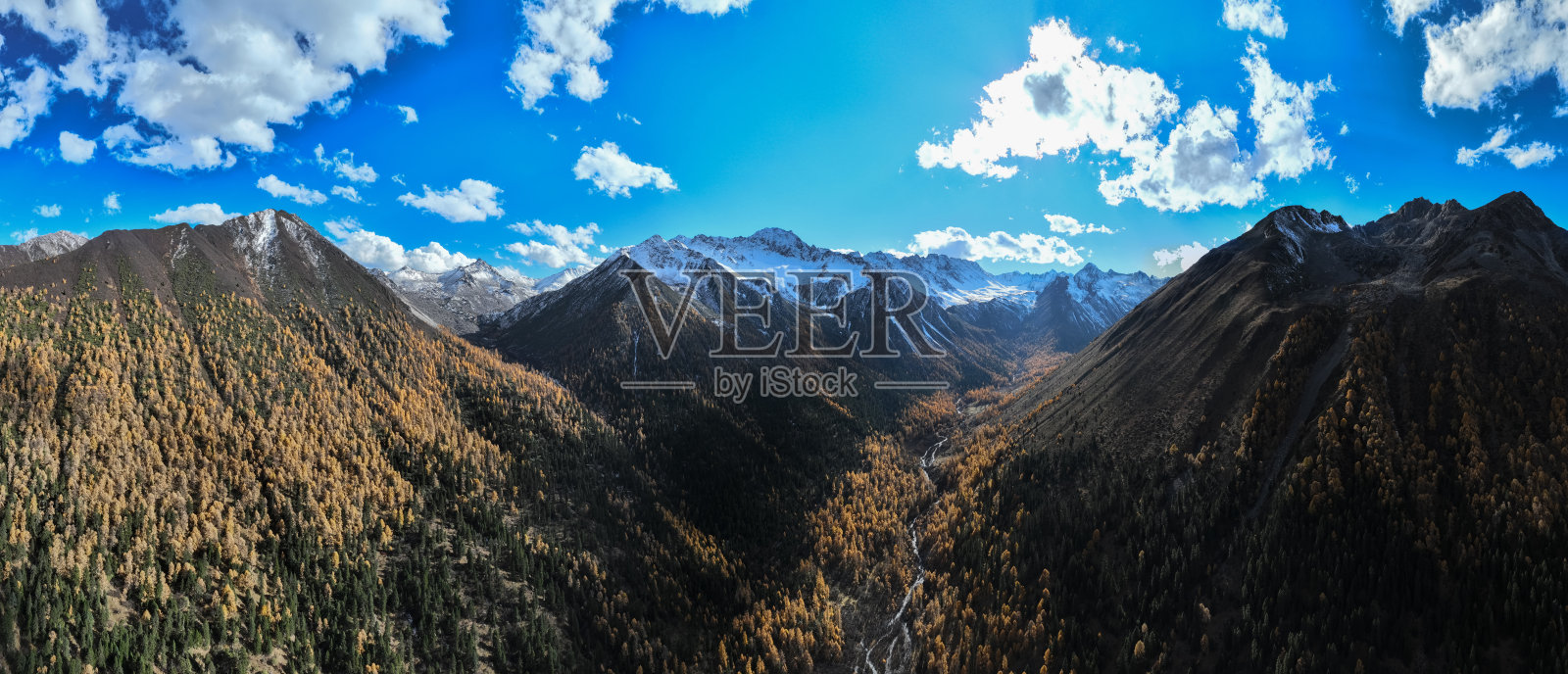 松树森林山地的鸟瞰图照片摄影图片