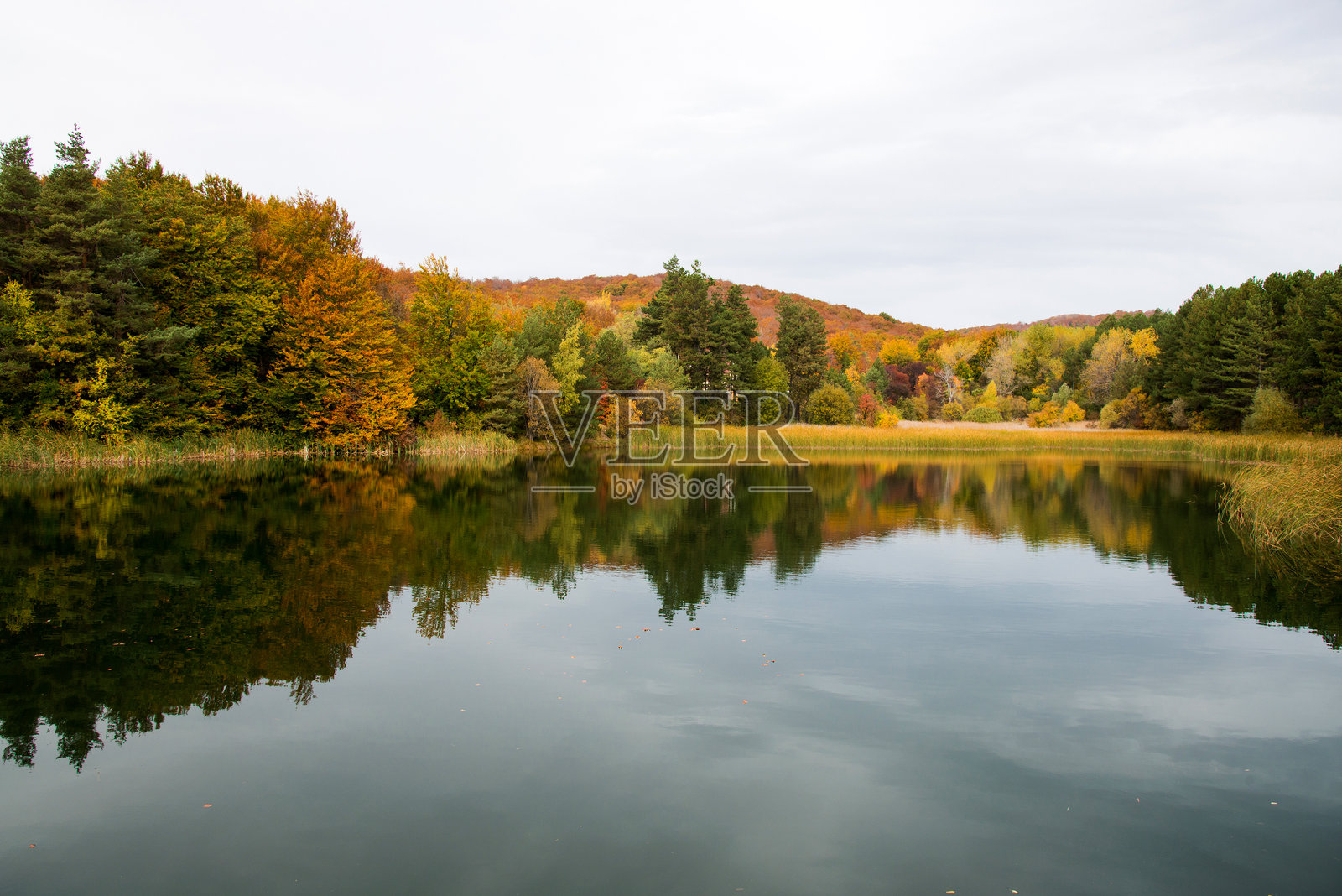 宁静而多彩的秋季风景，湖面上倒映着美丽的景色。照片摄影图片