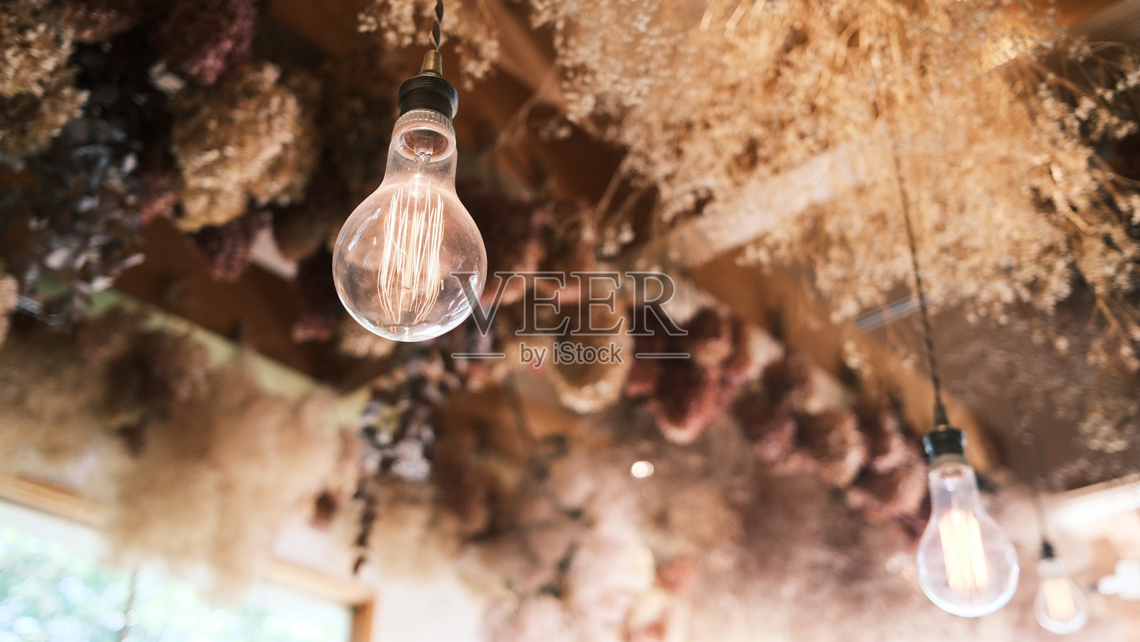 一个明亮的白炽灯泡悬挂在自然农舍的屋顶下，照亮了保存的花朵。照片摄影图片