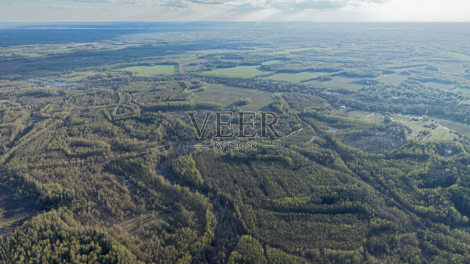 开阔的大草地，树木和草坪。春天的自然复苏。照片摄影图片