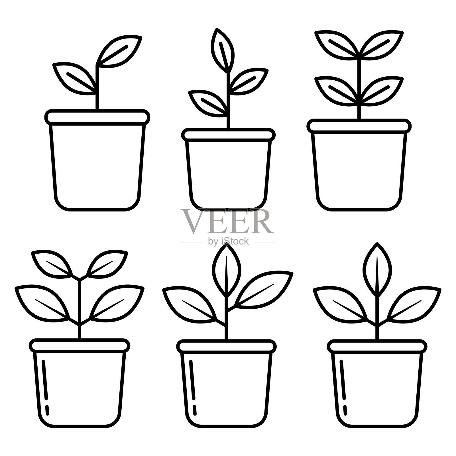 盆栽植物图标集。插画图片素材