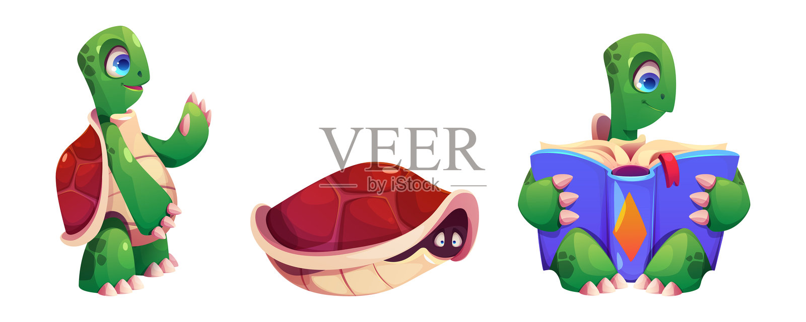 可爱的海龟组合，孤立在白色背景上插画图片素材