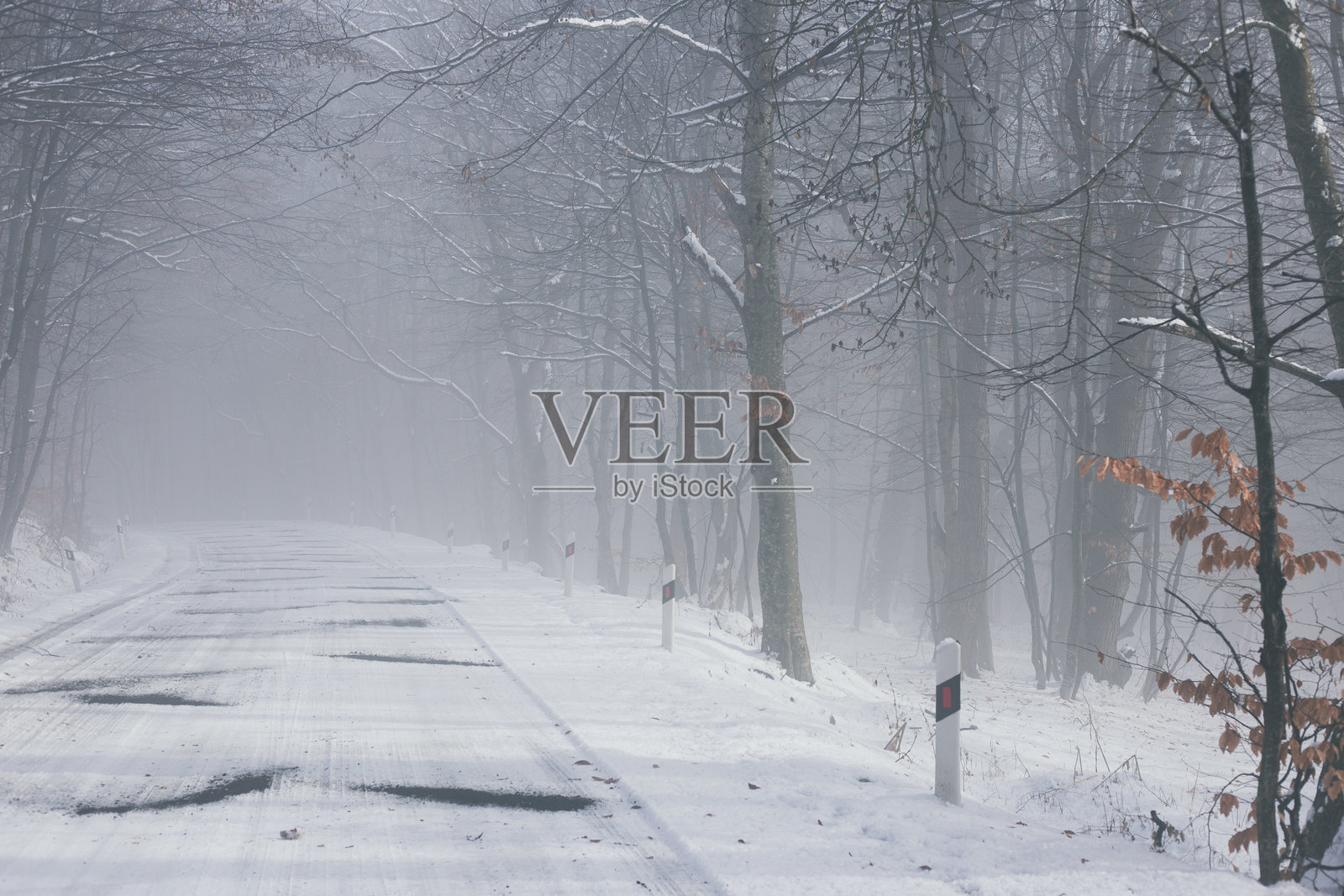 冬季雪-covered的道路穿过森林照片摄影图片