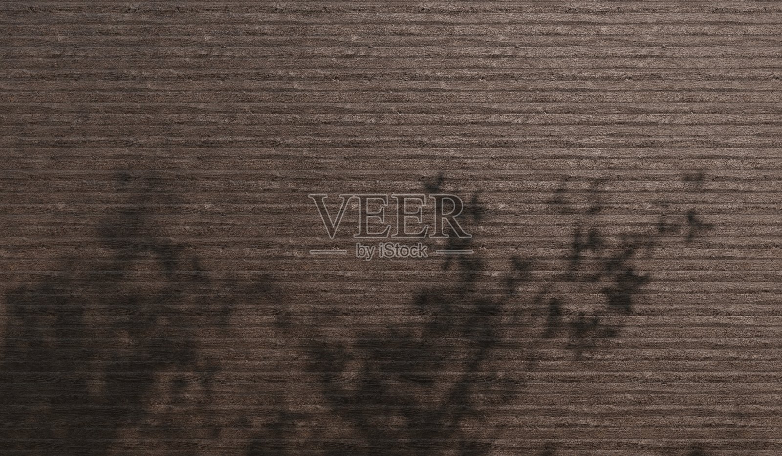 木地板上的阴影，树枝的倒影，3D插图照片摄影图片