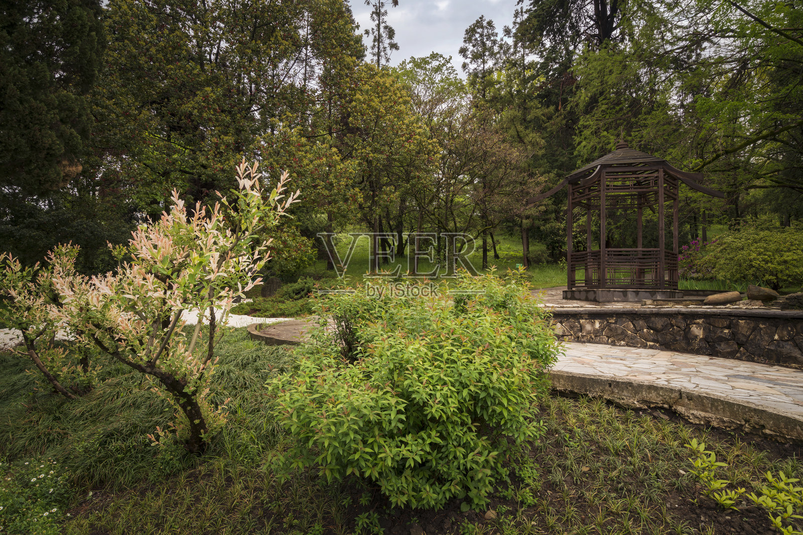索契植物园上公园内的日本花园景观,带有木制凉亭,位于俄罗斯克拉斯诺达尔边疆区的索契。照片摄影图片