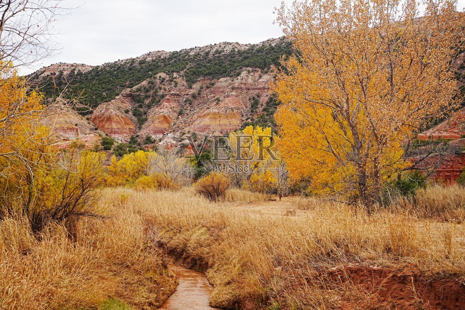 德克萨斯州帕洛杜罗峡谷州立公园是一个适合全家探索的美妙峡谷，位于德克萨斯州阿马里洛附近。照片摄影图片